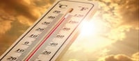 It is important to protect infants and children from heatwaves?